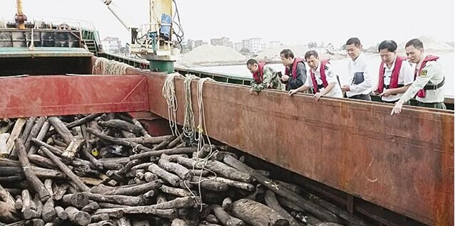 福州破获7000万红木走私案 系中国海关史上最大(图1)