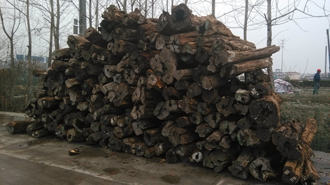 东非黑黄檀行情持续低位徘徊(图1)