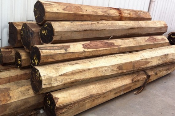 阔叶黄檀市场存货总量不大,经销商入货谨慎(图1) 阔叶黄檀市场存货总量不大,经销商入货谨慎(图1)