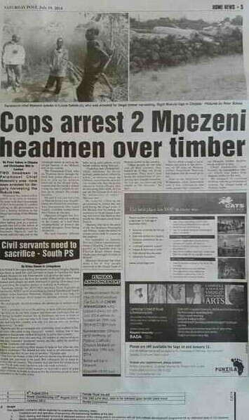 赞比亚又有两名酋长因采伐血檀被抓(图1)