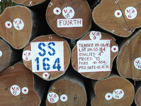 老挝花梨一片冷清 缅甸柚木价格平稳(图2)