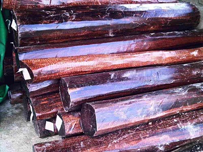 南美原木出货冷清，伯利兹黄檀行情低迷(图1)