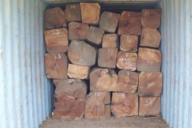 非洲原木价格下调 刺猬紫檀部分商家亏本(图2)