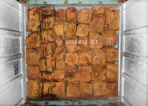 非洲原木价格下调 刺猬紫檀部分商家亏本(图3)