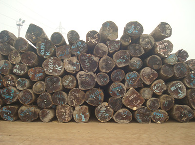 东南亚原木走势平稳，价格逐渐趋稳(图1)