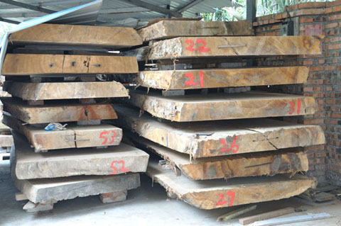 红椿少人问津 红胡桃整体表现平稳(图1)