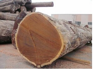 原木市场调查：阔叶黄檀以消化库存为主(图2)