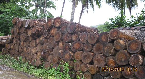 原木市场调查：阔叶黄檀以消化库存为主(图3)