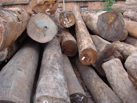蛇纹木新货继续回港 依贝价格下调(图2)