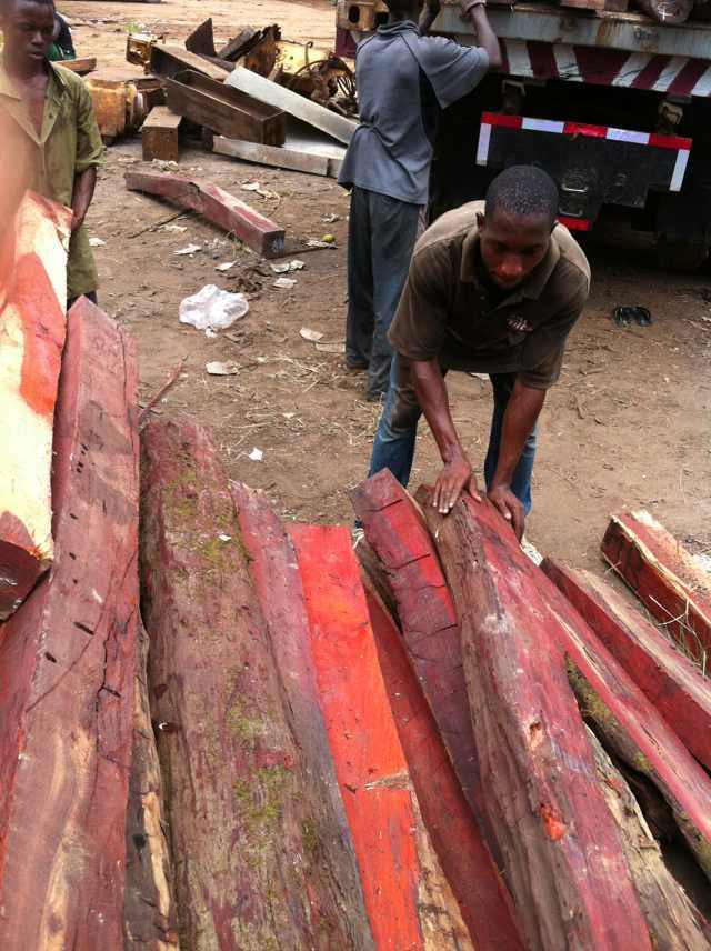 红花梨市场货源充足 科檀价格平稳(图2)