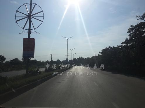 越南红木市场最前沿报道（记者直接进入越南第一线）(图4)