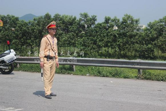 越南红木市场最前沿报道（记者直接进入越南第一线）(图5)