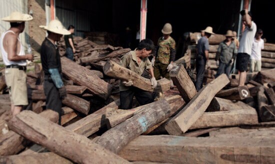 中国红木的使用概况：原材料将成短板(图2)