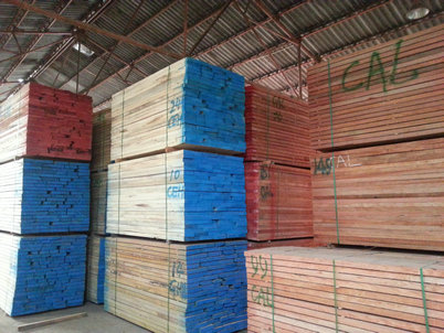 小斑马价格上涨 海棠木销量较好(图2)