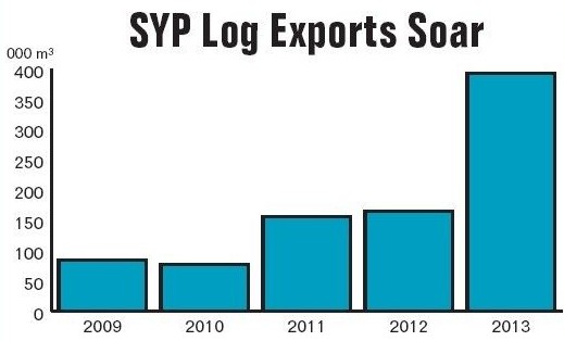 南方松原木出口再创历史新高 中国市场需求激增