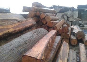 深圳观澜红木市场缅甸花梨价格大幅回落(图1) 深圳观澜红木市场大果紫檀价格大幅回落