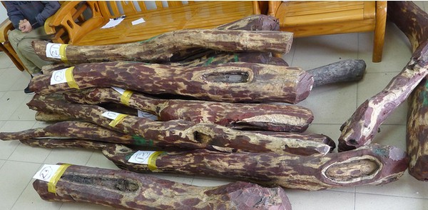 珍稀小叶紫檀木