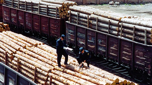 工作人员检测木材