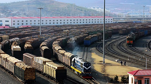 工作人员检测木材