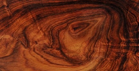 越南黄花梨价格稳步上扬(图1) 越南黄花梨价格稳步上扬(图1)