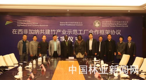 浙江农林大学与竹胶板企业科技助力加纳竹业发展(图1)