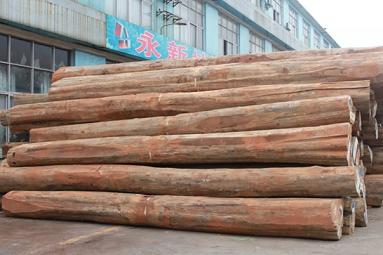 缅甸原木2014年停止出口 木材行业亟须转型应对(图1)