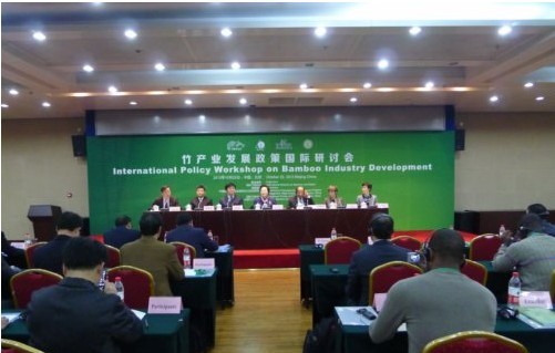 中国发展竹产业的经验受到亚拉非国家的关注。刘露菲 摄