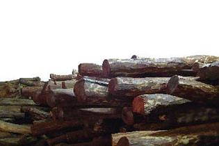 买家花800万元所购小叶紫檀料掺假(图2)