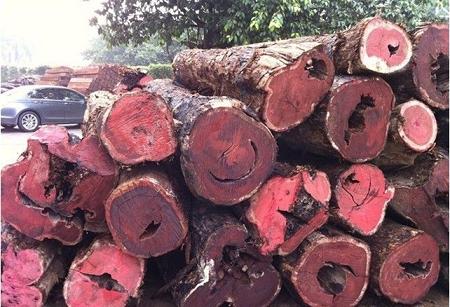 海关严查木材走私 微凹黄檀大量滞压港口(图1) 微凹黄檀精品原木