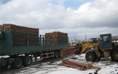 阿里河林业局贮木场小径木材畅销(图1) 阿里河林业局贮木场小径木材畅销