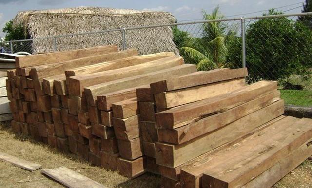 伯利兹国禁止伯利兹黄檀出口(图1) 伯利兹黄檀