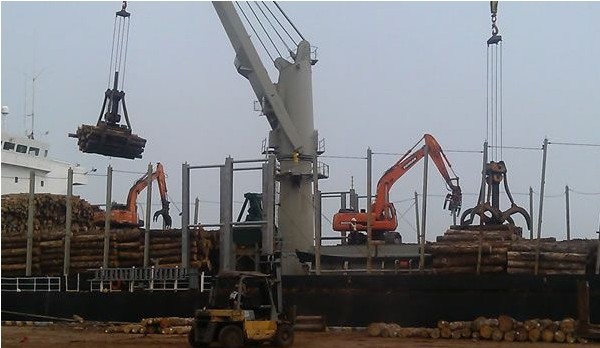 蓬莱港74小时之内完成3.6万方原木卸船任务创记录(图1) 蓬莱港74小时之内完成3.6万方原木卸船任务创记录