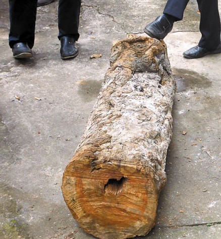 4.6米黄花梨拍出28万元