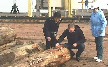 加拿大原木检验复验获肯定,钉牌编号标识提升准确性-优料客集木库(图1) 加拿大Pallan Group公司就加拿大原木检验工作来太仓港复验