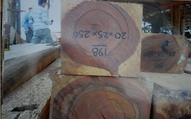 角尺黄檀受市场政策影响首当其冲