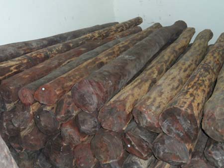 红木市场名贵木材价格走势与投资前景分析-优料客集木库(图1) 小叶紫檀