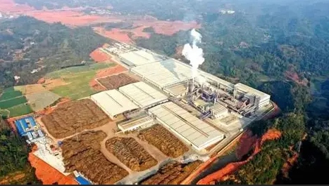 南方木业产能加速“归巢”，临沂凭什么让企业回流投产？(图1)